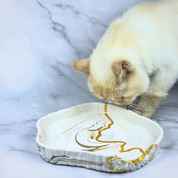 Serenity Jesmonite Bowl with golden marbled finish, Kintsugi-inspired accents, and clear quartz embellishments, displayed with a curious cream-colored cat, handcrafted in Dubai, UAE.